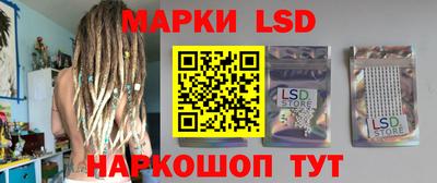 СК Новозыбков