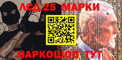 СК Новозыбков