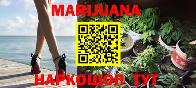 трава Новокубанск