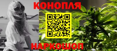 СК Новозыбков