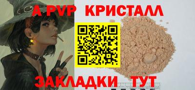 СК Новозыбков