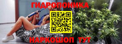 СК Новозыбков