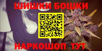 стаф Новодвинск