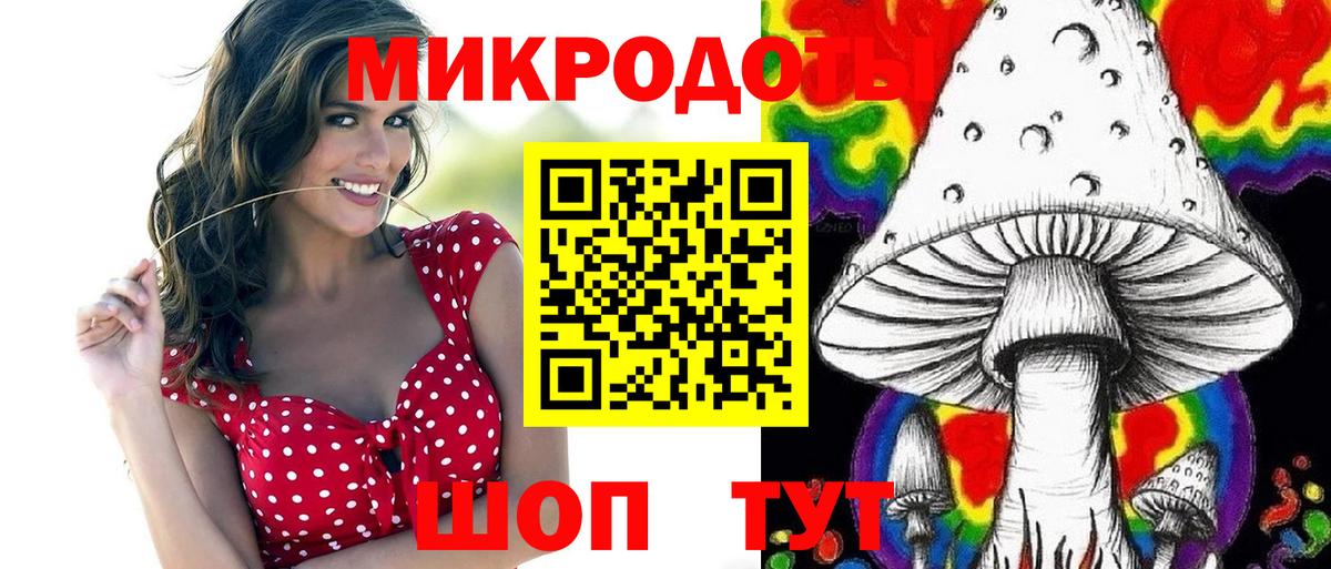 Галлюциногенные грибы прущие грибы Сланцы