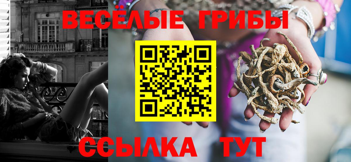 Псилоцибиновые грибы ЛСД  Вход с VPN  Сланцы  Псилоцибиновые грибы GOLDEN TEACHER 